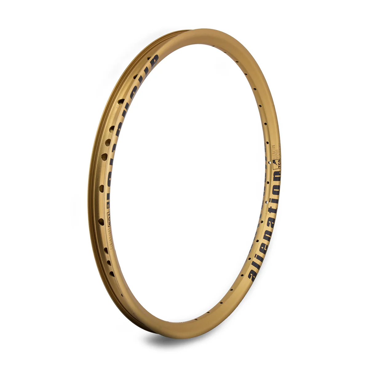 Alienation Mischief Brakeless Rim 36h 20" - Image 9