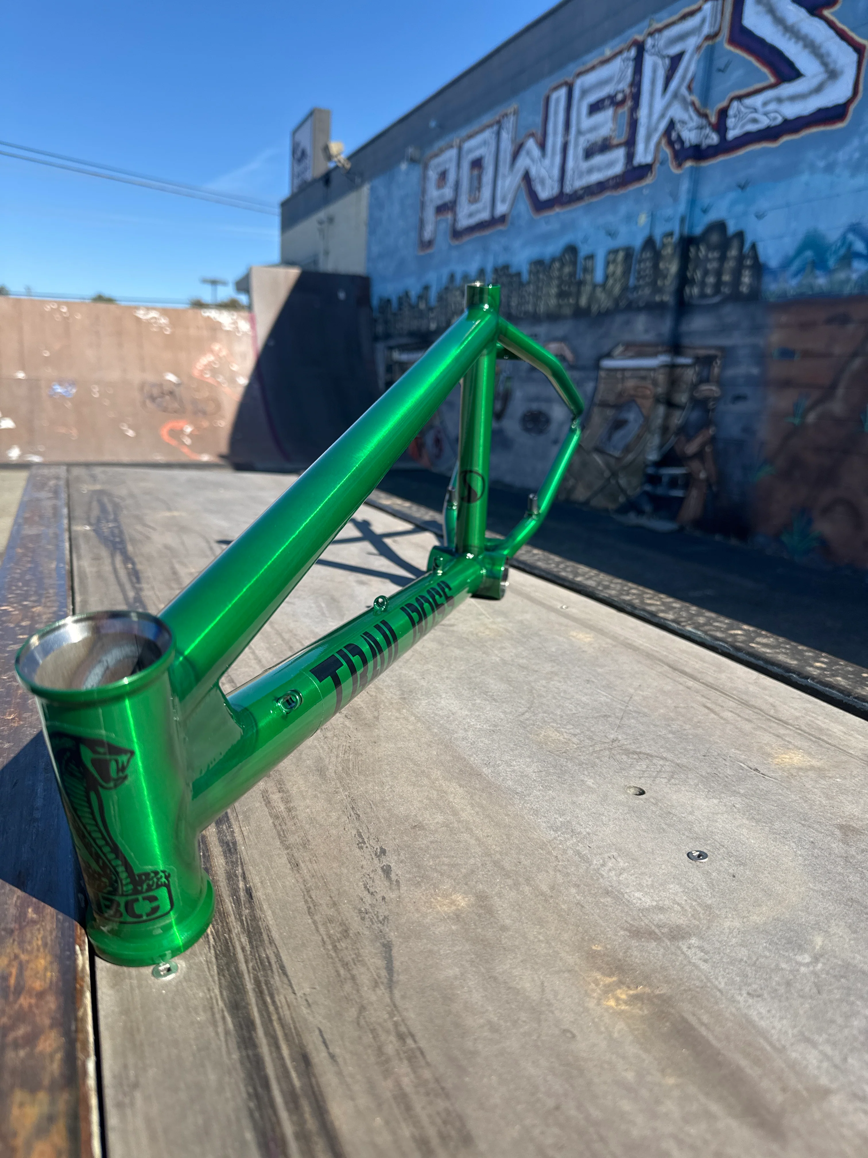 Standard Trail Boss Frame - Image 38