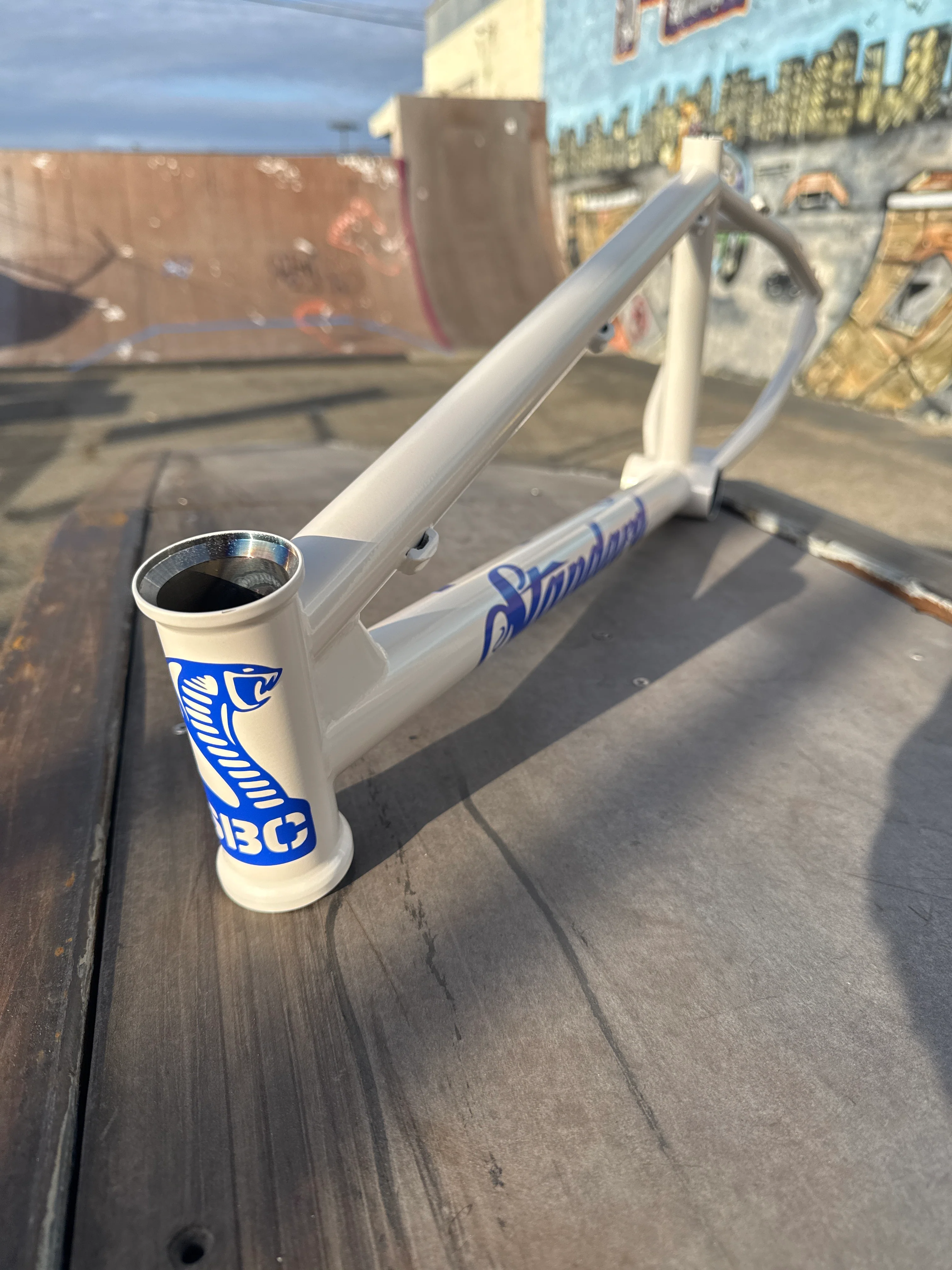 Standard Trail Boss disc Frame - Image 3