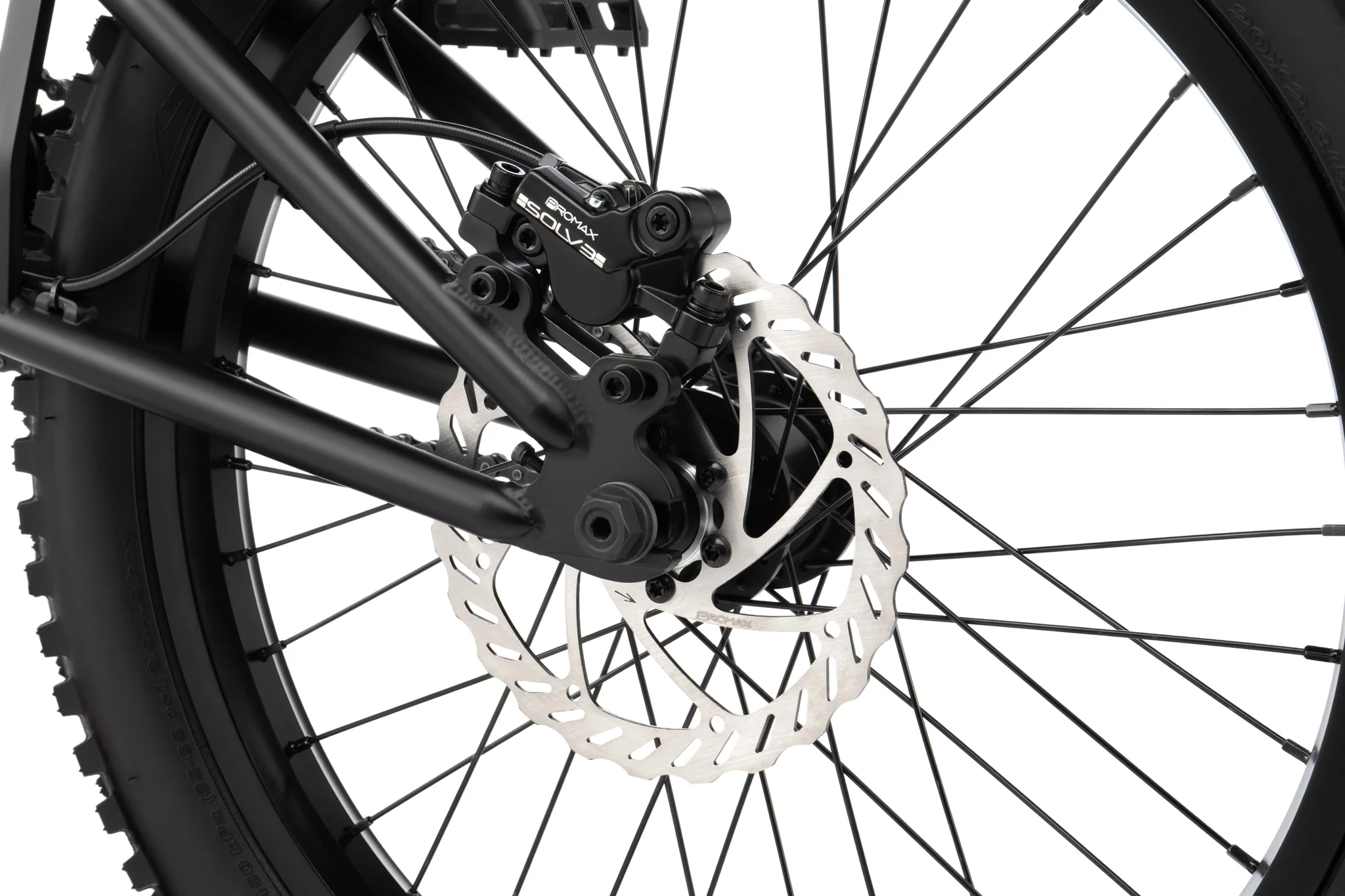 We The People Swamp Master - Image 4